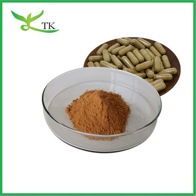 Natural Eurycomanone 1% Tongkat Ali Root Extract Powder 100:1 200:1 For Dietary Supplement