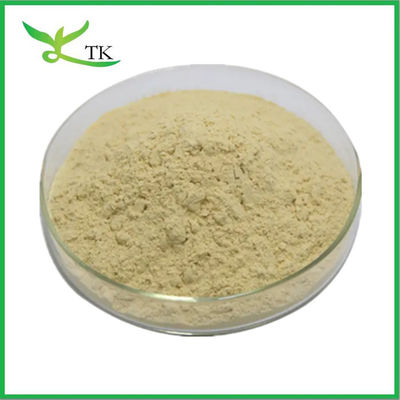 Food Grade Pine Nut Extract Pine Nut Kernel Extract Powder