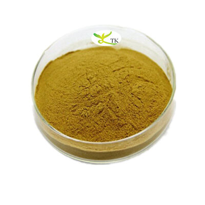 Natural Plant Extract Powder Rumex Acetosa L. Extract Powder 4:1 10:1 Sheep Sorrel Extract