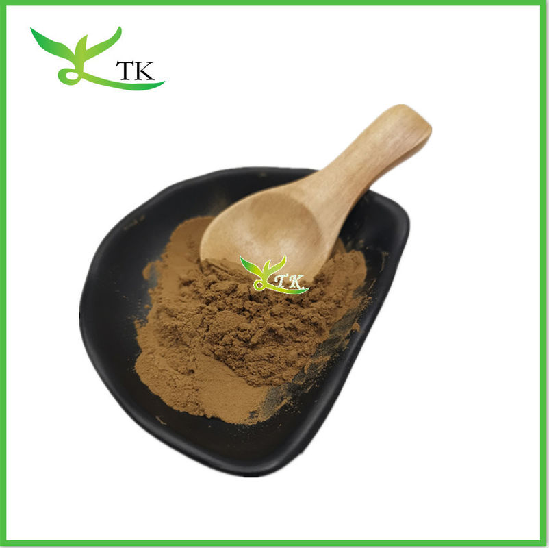 High Quality Rhynchophylline Natural 10:1 Uncaria Gambir Extract Powder