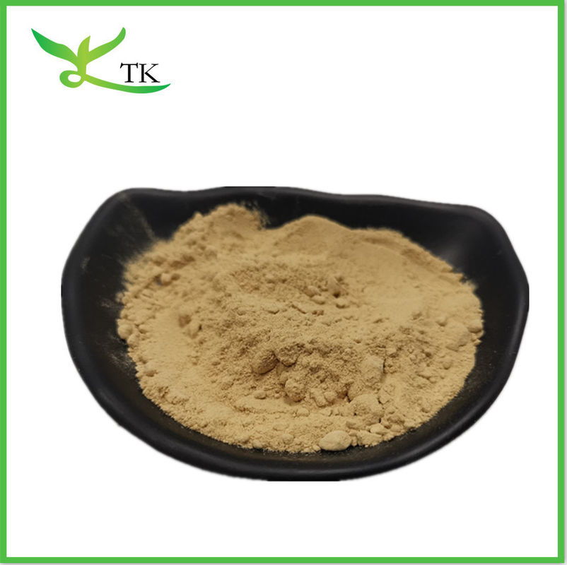 High Quality Damiana Extract 10:1 Damiana Leaf Extract Powder