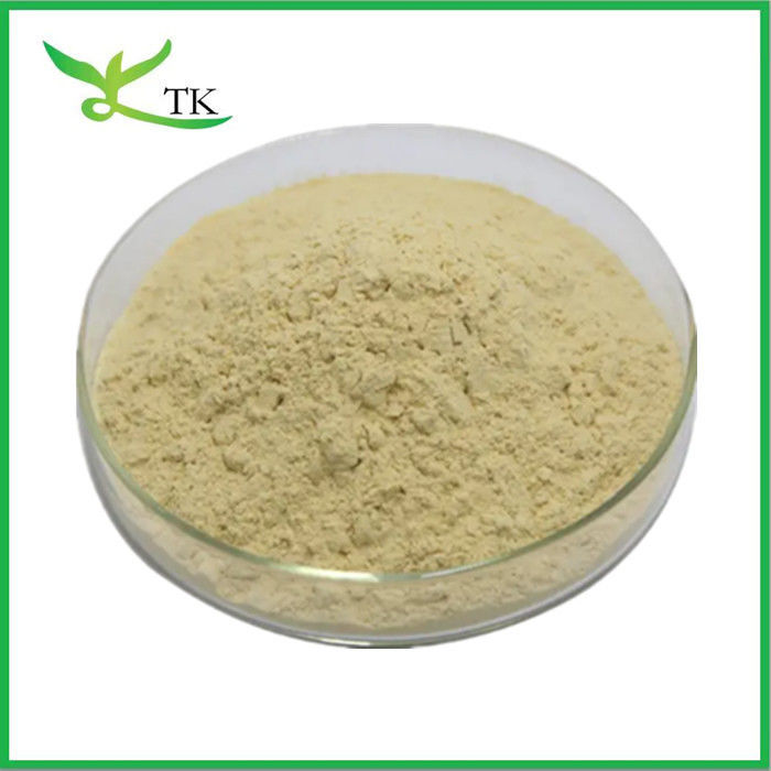 Food Grade Pine Nut Extract Pine Nut Kernel Extract Powder
