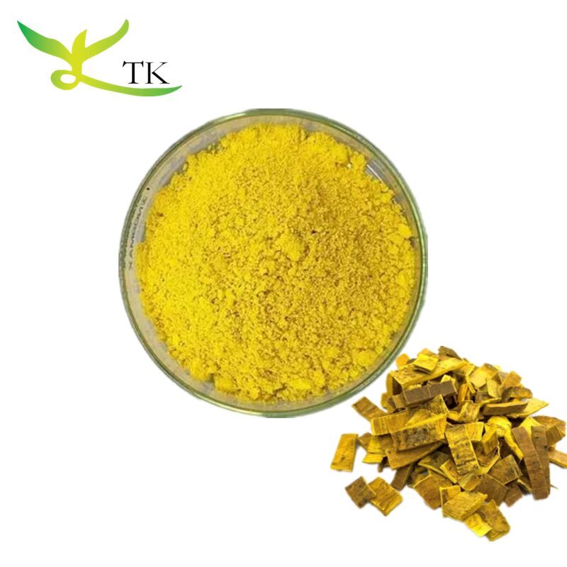 Natural TCM Phellodendron Amurense Bark Extract Berberine HCL Powder