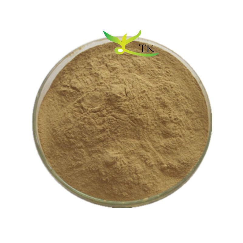 Natural Plant Extract Powder Mango Leaf Extract Powder 4:1 10:1