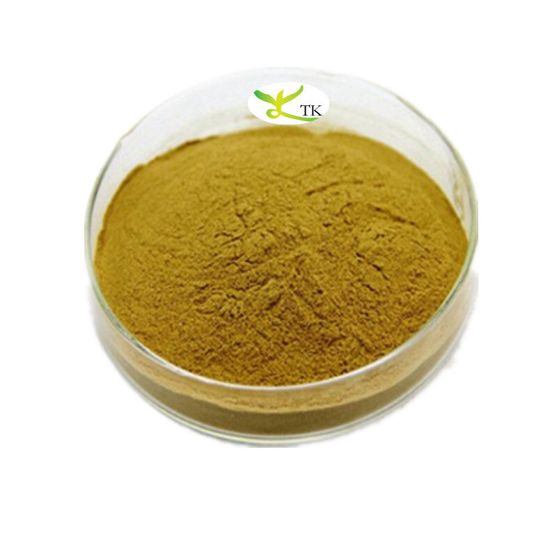 Natural Plant Extract Powder Rumex Acetosa L. Extract Powder 4:1 10:1 Sheep Sorrel Extract
