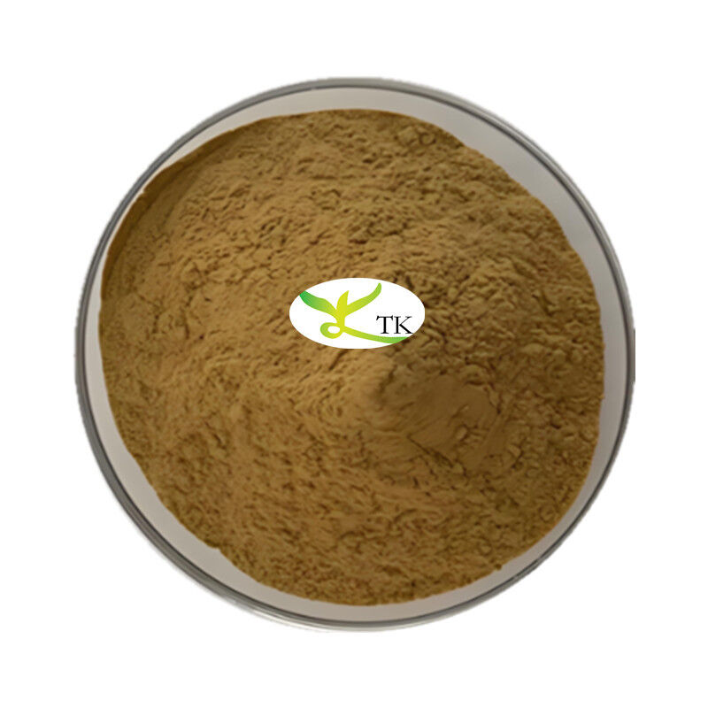 Wholesale Natural Plant Extract Powder Comfrey Root Extract Powder 4:1 10:1