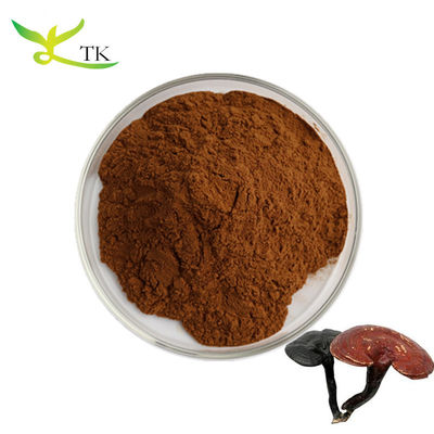 Ekstrak Ganoderma Lucidum Alami Polysaccharides 30% Ekstrak Jamur Reishi Merah Organik Bubuk