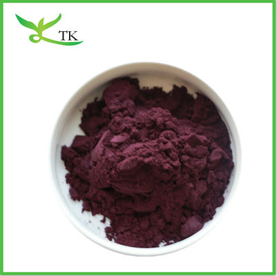 Aditif makanan Semprot Buah Acai Berry Ekstrak Bubuk Bubuk Acai