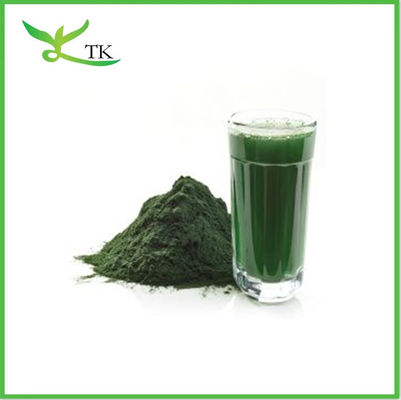 50% Protein murni alami organik Chlorella Powder Chlorella Vulgaris Powder Chlorella Tablet