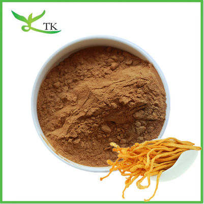 Ekstrak Jamur Alami Bubuk Cordyceps Militaris Ekstrak Bubuk Polysaccharide Cordycepin