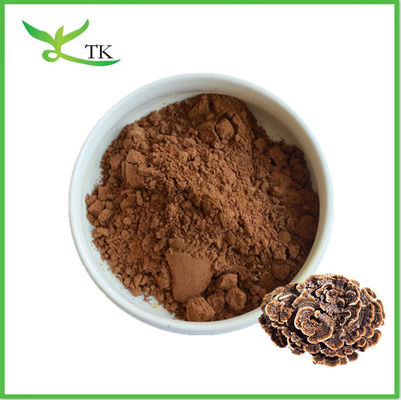 Pure Natural Coriolus Versicolor Powder Turkey Tail Mushroom Powder Kapsul Suplemen