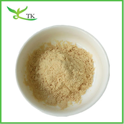 Enzim Nattokinase Super Food Powder Kuning