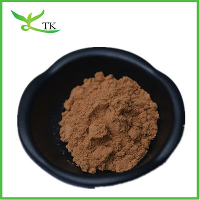 30% Polysaccharide Chaga Jamur Ekstrak Bubuk