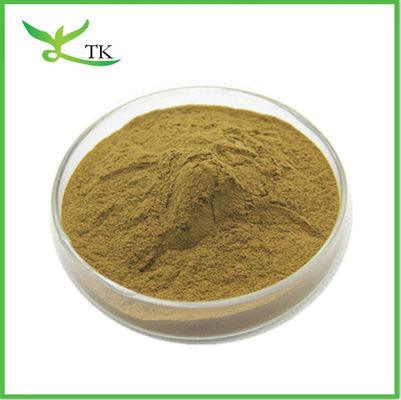 Grosir Nuciferine Lotus Leaf Extract Powder Lotus Leaf Powder Berat Badan