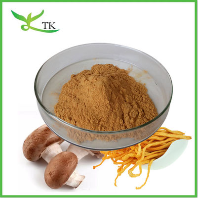 Campuran Super Food Powder Private Label Jamur Campuran Ekstrak Suplemen