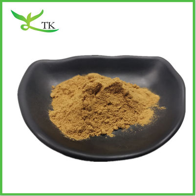 Ekstrak Fenugreek Grade Food Herbal Supplements Pure Fenugreek Extract Powder