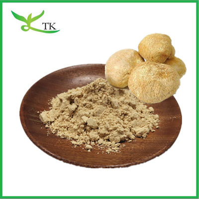 Suplemen perawatan kesehatan Hericium Erinaceus alami murni Powder Lion' s Mane Mushroom Powder