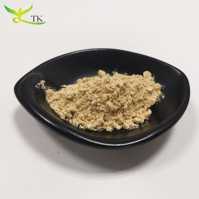 Superfood Perawatan Kesehatan Hericium Erinaceus Ekstrak Lion' s Mane Jamur Bubuk