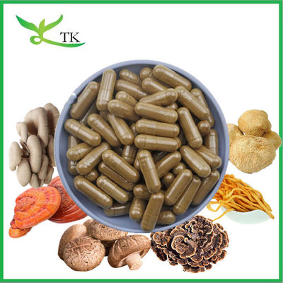 Bulk Lions Mane Cordyceps Turkey Tail Maitake Reishi Chaga Jamur Ekstrak Bubuk Kapsul