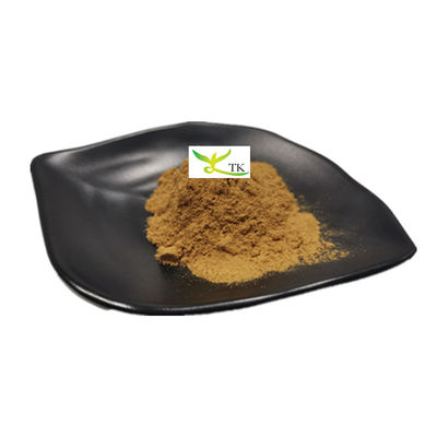 Harga Grosir Bubuk Ekstrak Tanaman Alami 5% Flavonoid Bubuk Ekstrak Dandelion