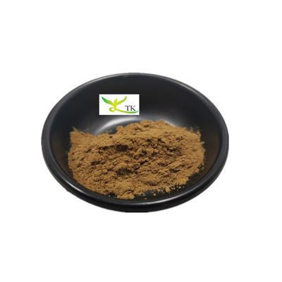 Pabrik Supply Natural Damiana Leaf Extract Powder 99% Damiana Extract Powder