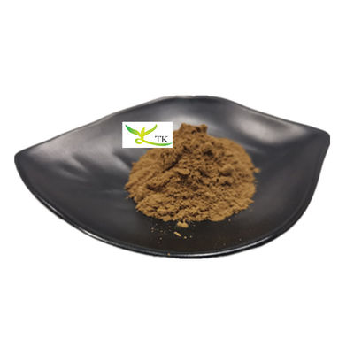 Ekstrak Jamur Alami Polysaccharide 20% Chaga Jamur Ekstrak Bubuk