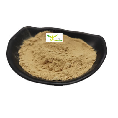 Harga Terbaik Benih labu Benih protein bubuk 80% Benih labu ekstrak bubuk