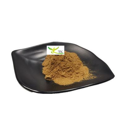 Grosir Ekstrak Yucca Schidigera Alami Bubuk Saponin 60% 80% Ekstrak Yucca