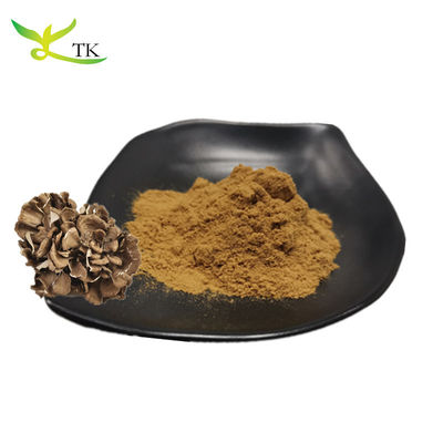 Grosir 100% Suplemen Jamur Alami Grifola Frondosa Ekstrak Bubuk