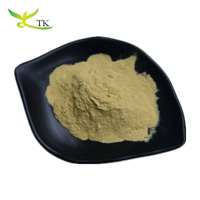 ISO Pabrik Ekstrak Daun Zaitun Bubuk Asam Oleanol Asam Maslinic Asam Oleuropein Hidroksitirosol