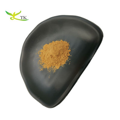 Ekstrak tumbuhan Schisandra Chinensis ekstrak alami bubuk Schisandra Berry ekstrak