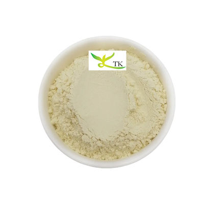 Ekstrak Tanaman Alami Daun Mangga Ekstrak Bubuk Mangiferin 95% CAS 4773-96-0