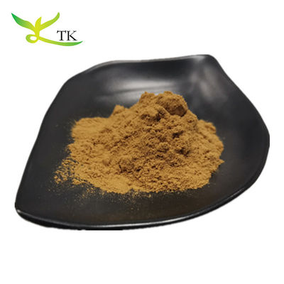 Grosir Ekstrak Yerba Mate Alami Ekstrak Teh Paraguay