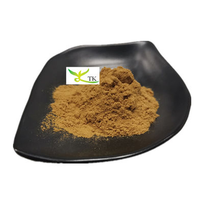 100% Ekstrak Jamur Osyter Alami Bubuk Pleurotus Ostreatus Ekstrak
