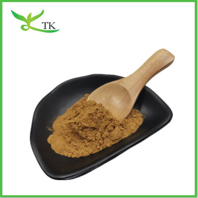 Cistanche Tubulosa Extract Powder 50% Echinacoside + 10% Verbascoside