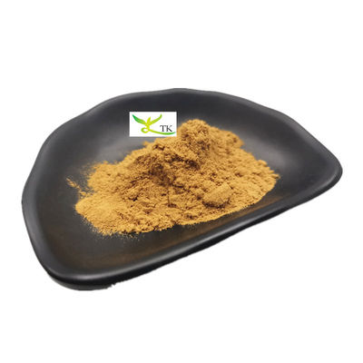 Astragalus Membranaceus Ekstrak Astragaloside IV Cycloastragenol Powder