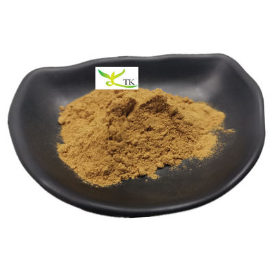 Harga Grosir Penawaran Natural Nasturtium Officinale Watercress Extract 10:1 Watercress Powder