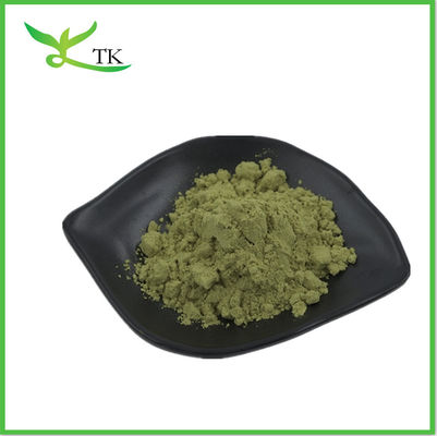 Grosir Moringa Oleifera Tea Powder Moringa Leaf Powder Kapsul Serbuk Grosir