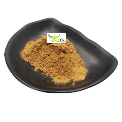 Harga Grosir Suplemen Herbal Alami Bahan Ekstrak Eyebright Bubuk 10:1