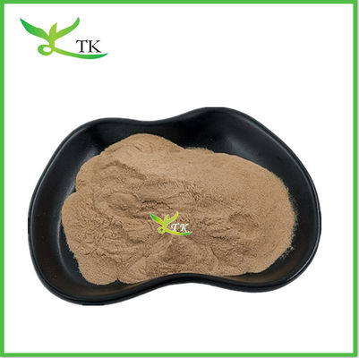 Grosir Lentinus Edodes Ekstrak Jamur Shiitake Ekstrak Bubuk Jamur Shiitake
