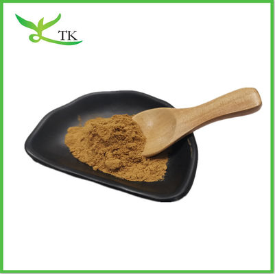 Cordyceps Sinensis 40% Polysaccharide Asam Cordycepic Cordyceps Sinensis Ekstrak