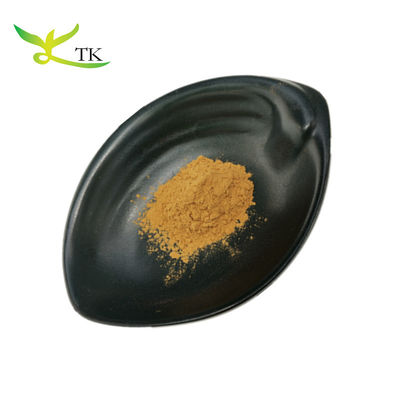 Suplemen Herbal Benih Cuscuta alami murni bubuk 10:1 Ekstrak Benih Dodder untuk Pria