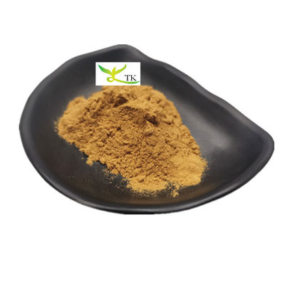 Suplemen Herbal Alami Panax Quinquefolius Ekstrak Bubuk 10:1 20:1 American Ginseng Ekstrak Bubuk
