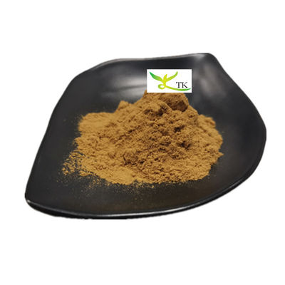 Harga Grosir Natural Lobelia Herb Extract Powder Lobelia Leaf Extract 10:1 Powder