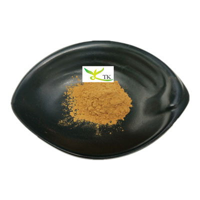 Harga Grosir Natural Portulaca Oleracea Purslane Herbal Extract Powder Purslane Extract 10:1
