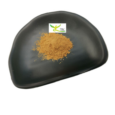 Harga Grosir Natural Agaricus Bisporus Extract Powder 10% ~ 50% Polysaccharides
