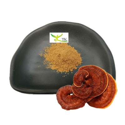 Grosir Ganoderma Lucidum Ekstrak Jamur Reishi Ekstrak Bubuk Polysaccharides 30%