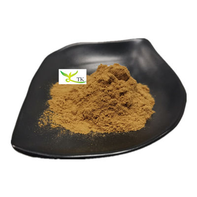 Ekstrak Houttuynia Cordata Bubuk Daun Hati Houttuynia Herb Extract P.E.
