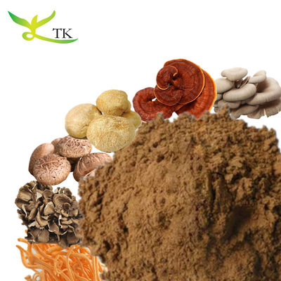 100% alami Reishi Lion's Mane Shiitake Maitake Chaga Turkey Tail Jamur Ekstrak Powder Campuran