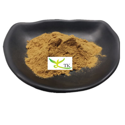 100% Ekstrak Jamur Willow Bracket alami Bubuk Polysaccharides Phellinus Igniarius Ekstrak